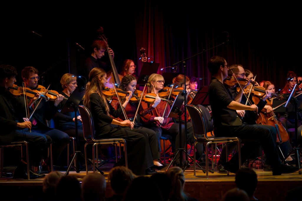 Die Musiker des NBS